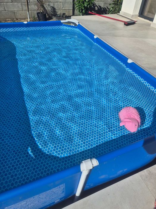 Piscina 3x2m cu pompa recirculare
