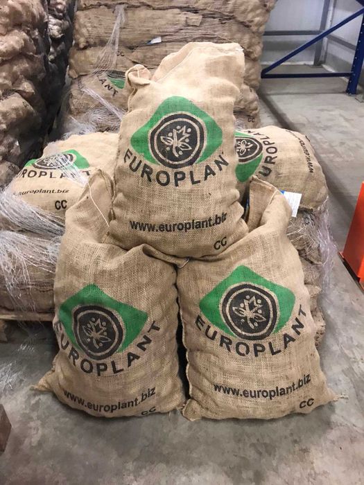 Семена картофи за посев клас "А" ,произход ЕВРОПЛАНТ - Германия