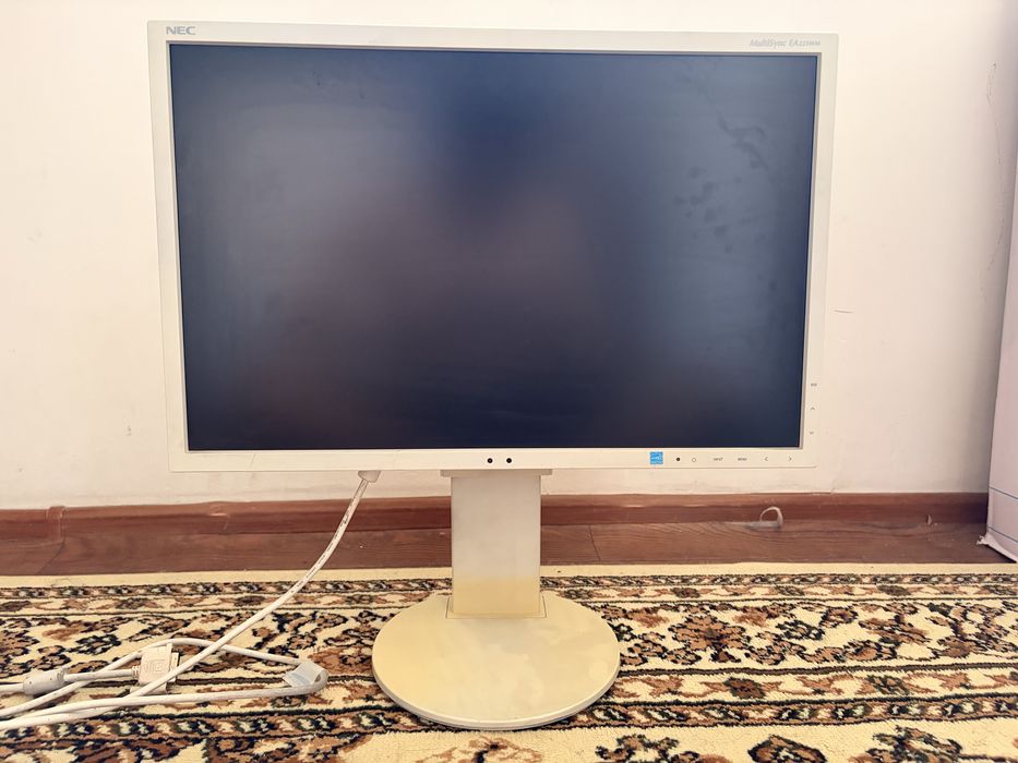NEC MultiSync EA223WM — 22”