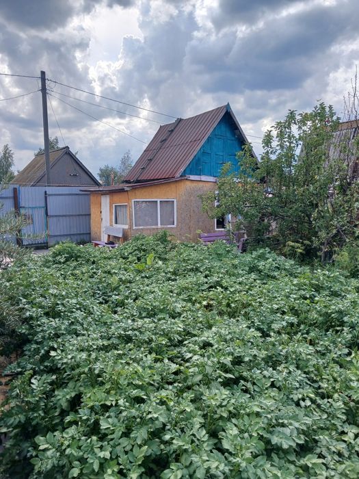 Продам дачу с насаждением