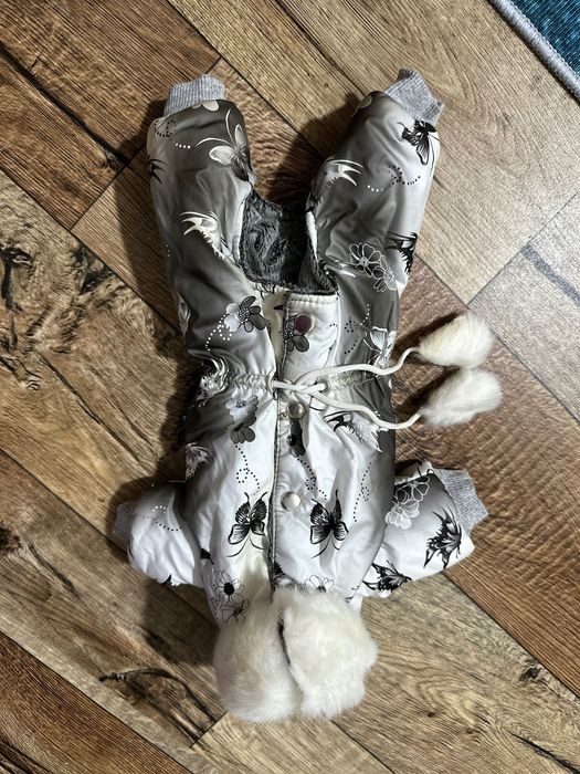 Лдежда для собак