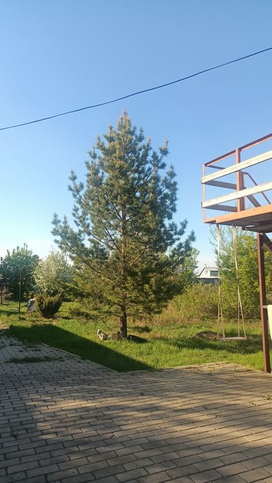 Продам дачу С/О Алмаз