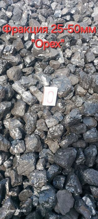 Шубаркуль семечка!