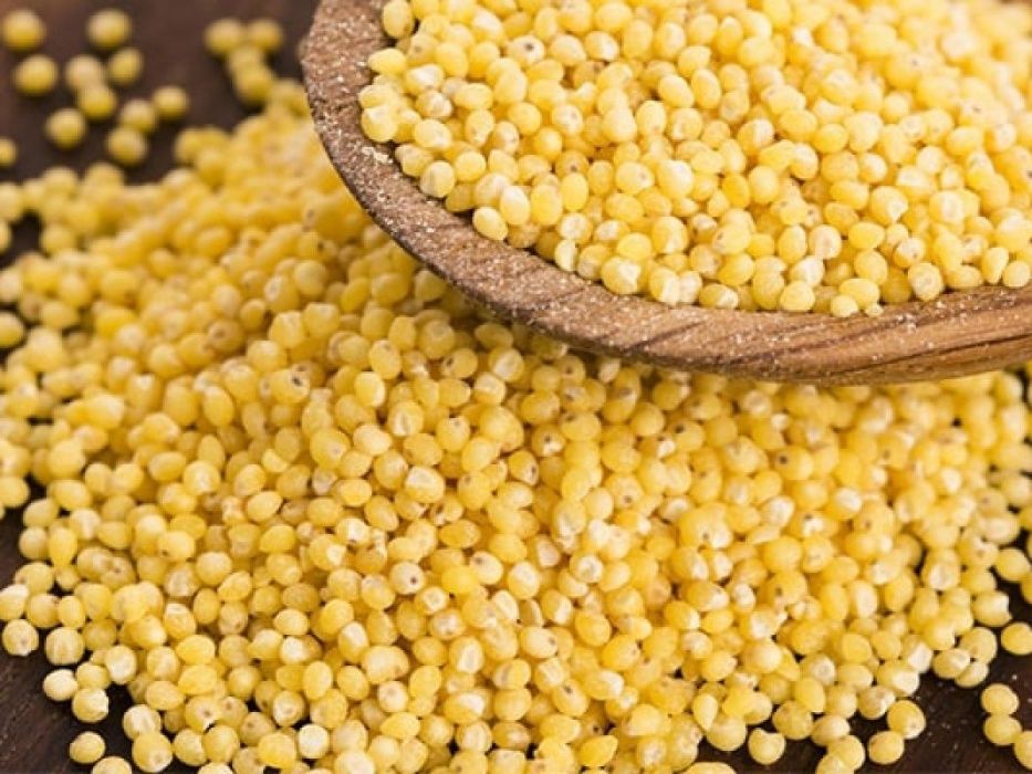 Seminte de mei la pret de producator,nutritiv,revitalizant.19lei/kg