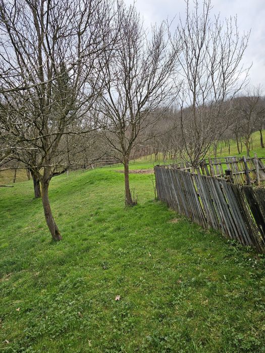 Casa si teren Viseu de Miljoc