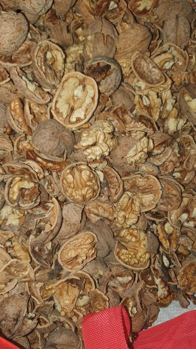 Vand nuci productie 2025