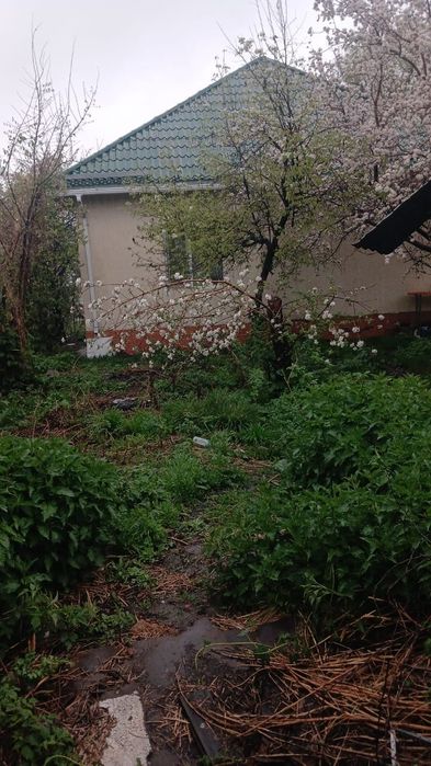 Продам дом в центре