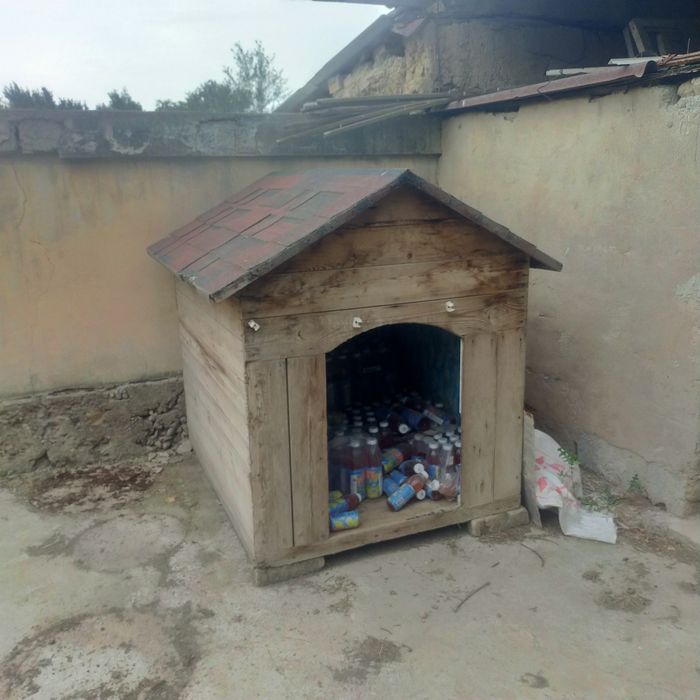 It ini bor mustahkam ishlangan
