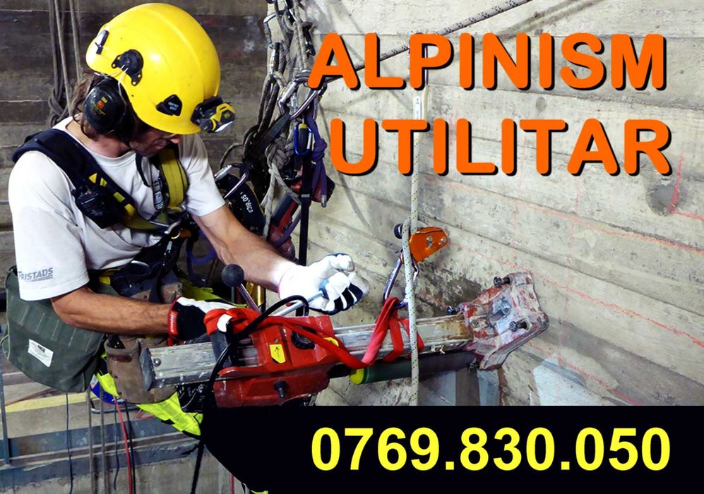 Taiem copaci MARI cu alpinisti utilitari