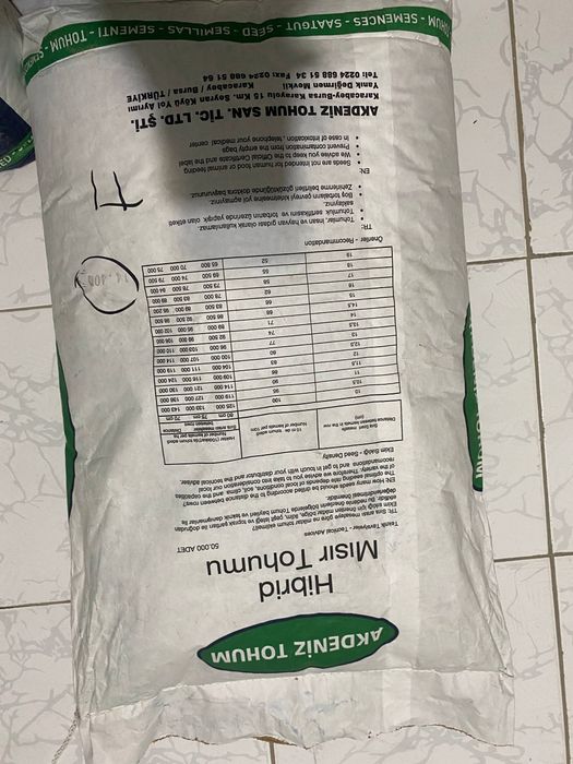 Jo'xori urug' makka urug'i макка жухори