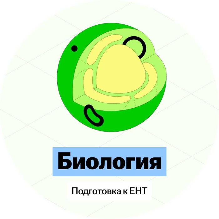 Репетитор по Биологии , Подготовка к ЕНТ
