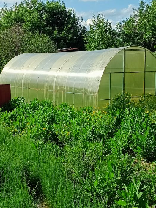 Продам дачу с домом