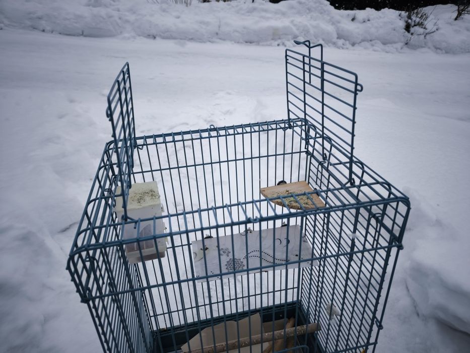 Большая клетка для птиц