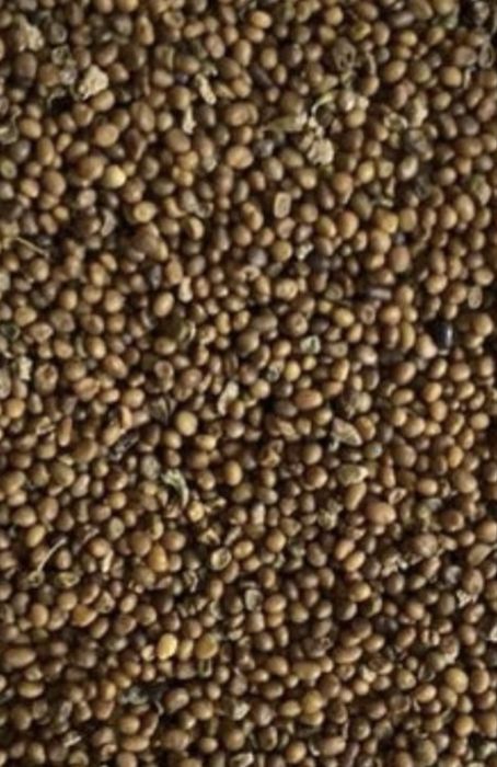 Vand samanta de lucerna