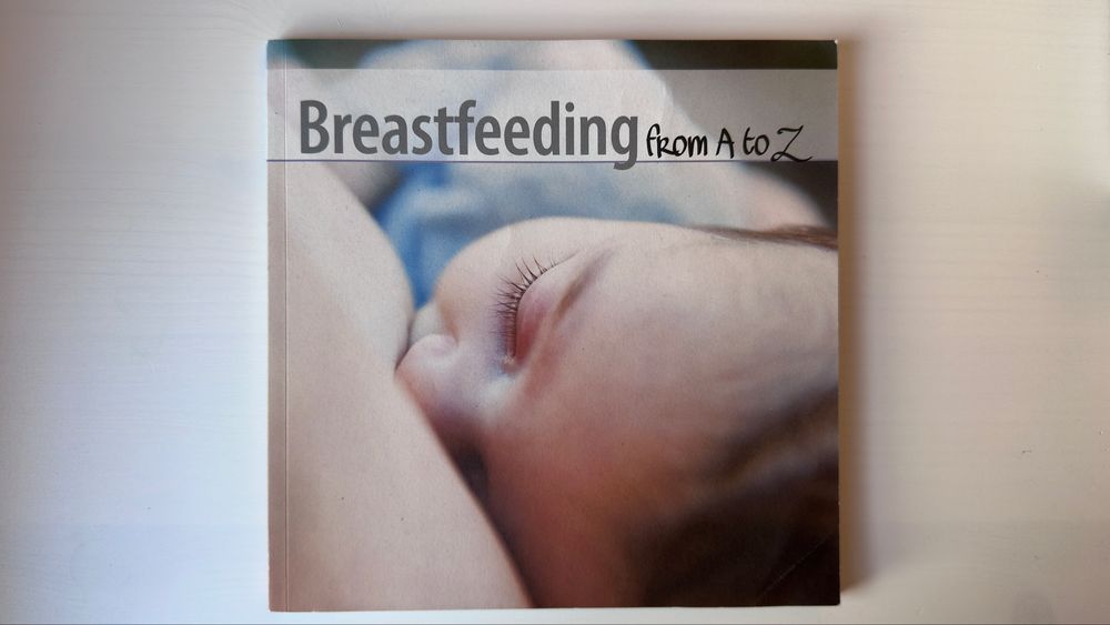 The Day-by-day Baby Book