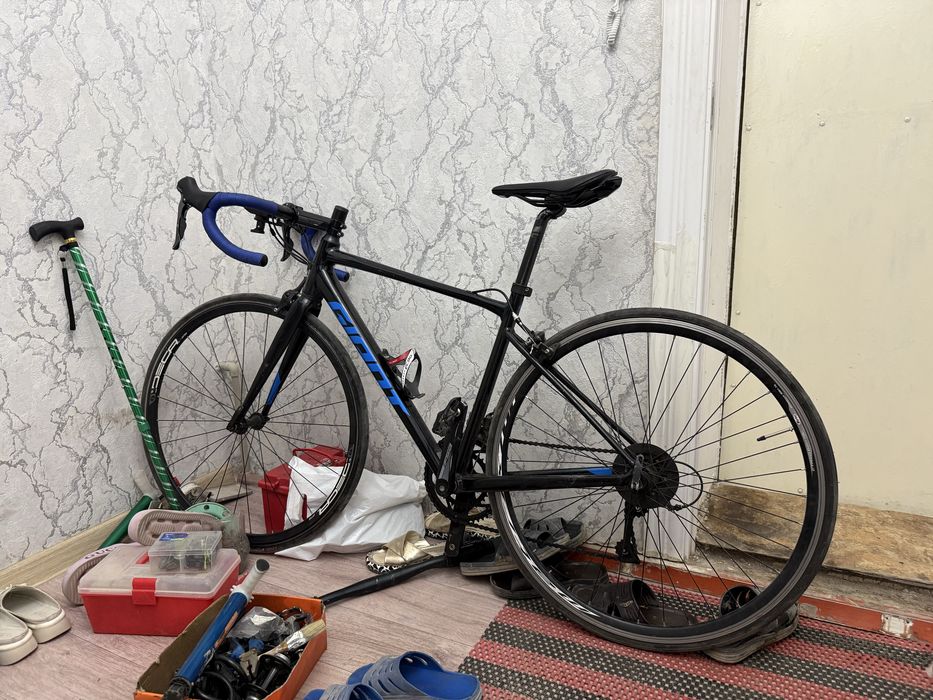Giant Contend 3 ИДЕАЛ