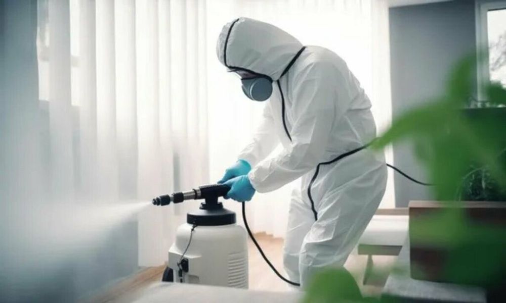 Dezinfeksiya Дезинфекция klop tarakan burga ilon клоп таракан запахи