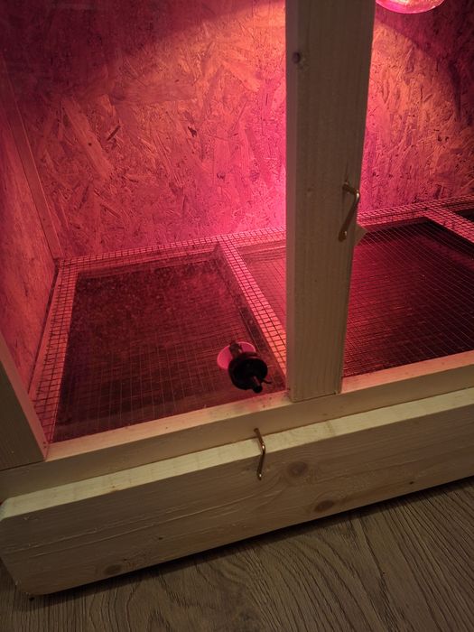 Maternitate pui,125/65