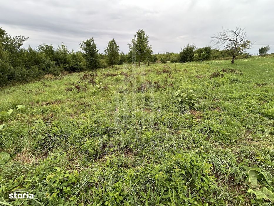 Teren intravilan de vânzare în Daia Nouă – 1.000 mp