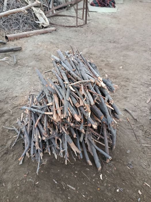 Тайер Утин сотилади нархи келишилган холда