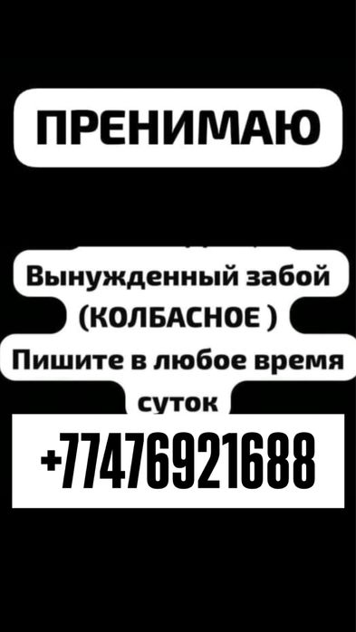 Вынуждены забой