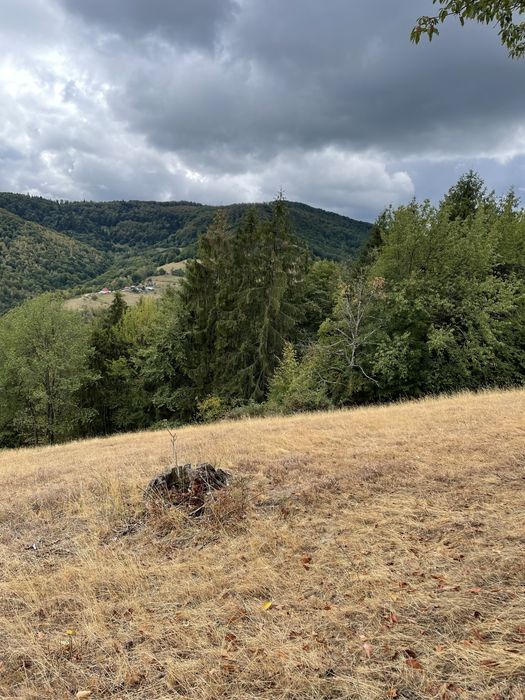 Vand teren, casa si grajd lemn Damis
