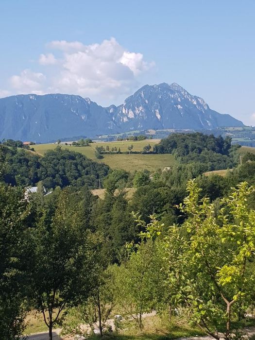 Cabană de inchiriat cu ciubăr