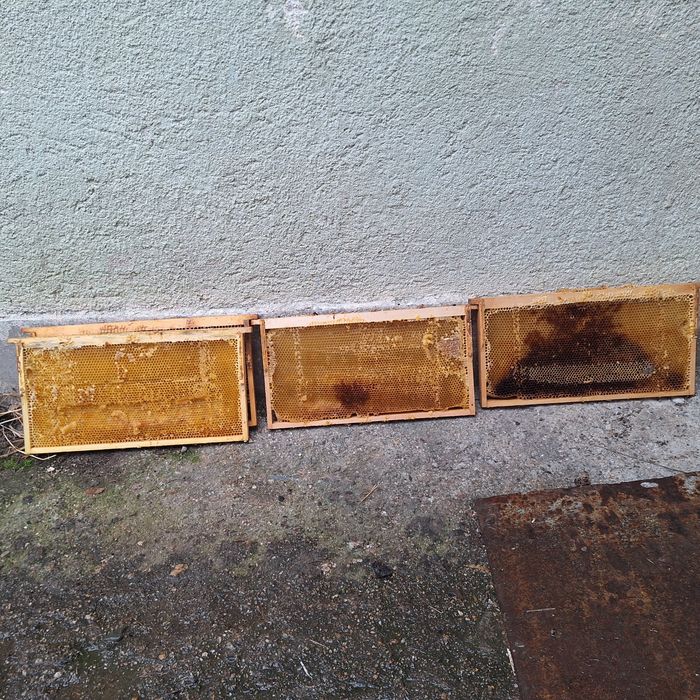 Изградени плодникови ЛР рамки