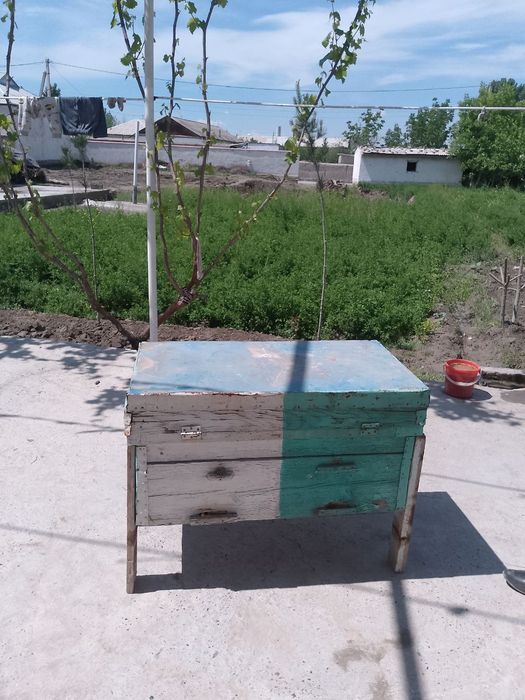 Medagon bilan yashik