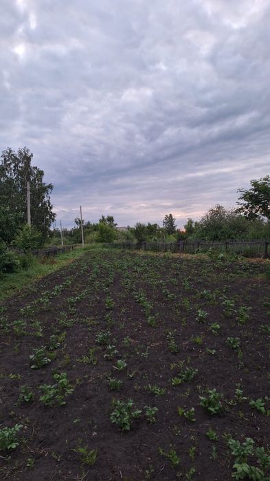 Продам дачный участок