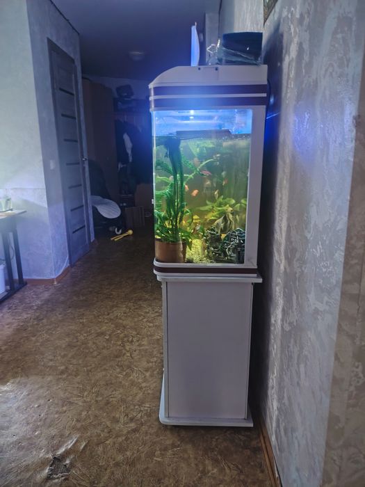 Продам оквариум,