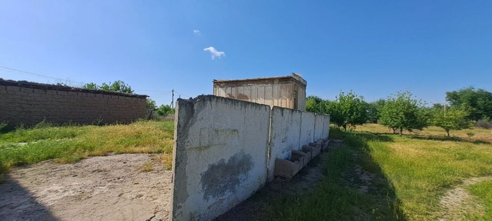 Жиззах 15 совхоз арнасой