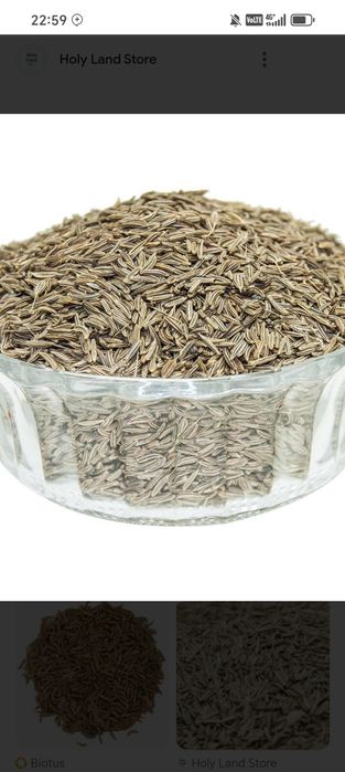 O'zbekiston Ispaniya yurunja urug'lari sotiladi va ekib beriladi.