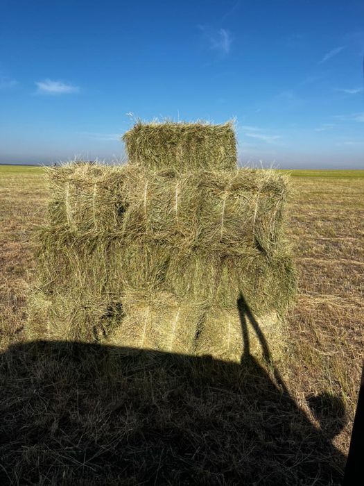 Сено в рулонах, и тюк,
