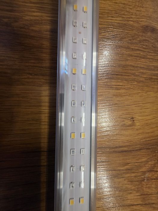 LED лампи за растеж на растения