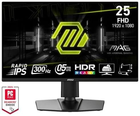 Монитор игровой msi 300 гц