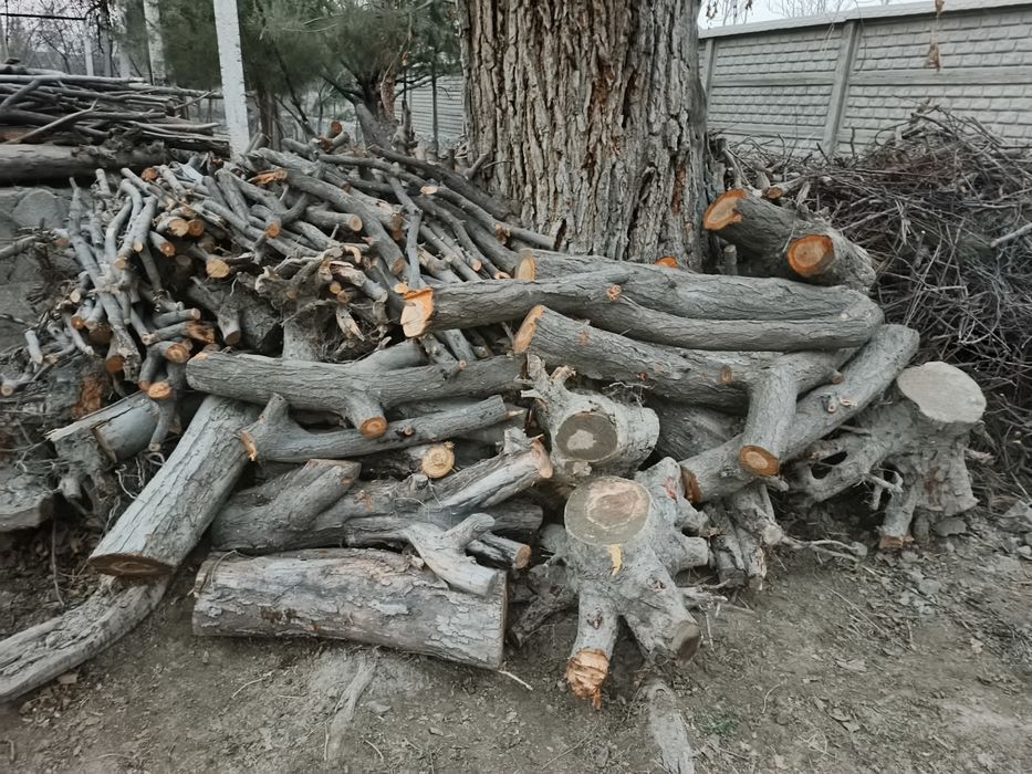 Bir ISUZU yuk moshin o'tin va kunda bor. Narxi 3 mln (bo'lishi shu).