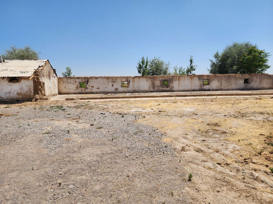 Земля 50 соток Янги Узбекистон 3 км