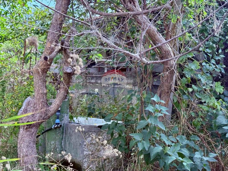 Атрактивен парцел с къща на добра локация за продажба, с. Кранево, Я.