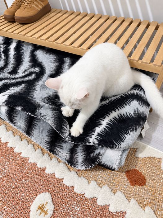 Кошка тараз Котёнок