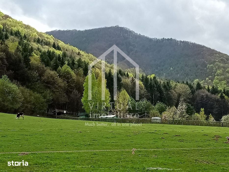 Teren intravilan de vanzare in Tocile, 3862 mp, priveliste spre padure