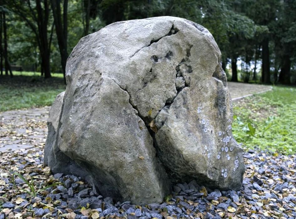 Камни , скалы, мох ,  для ландшафтногодекора.