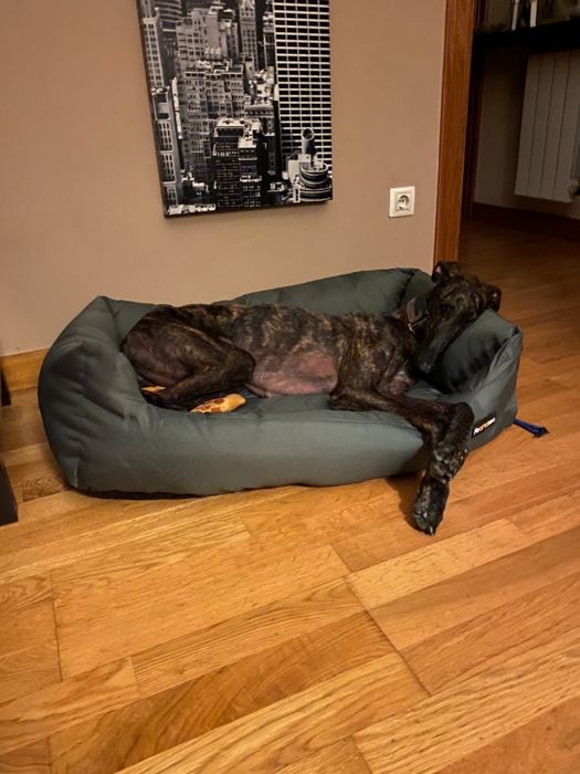 Удобно легло за домашни любимци, диван за кучешка къщичка, 100 x 70 см