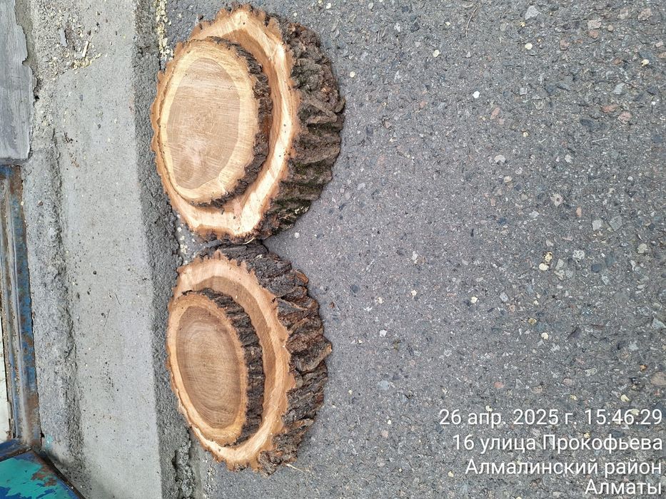 Продам слебы и спилы