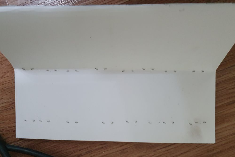 Степлер.(Rapid 101.)