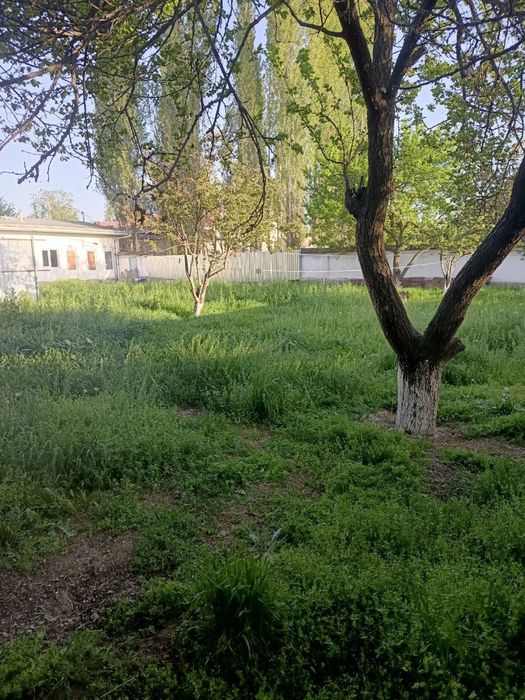 Назарбекда 6 соток ер СРОЧНО СОТИЛАДИ.