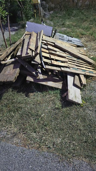 Дрова Отынға ағаштар тегін алып кетіңіздер
