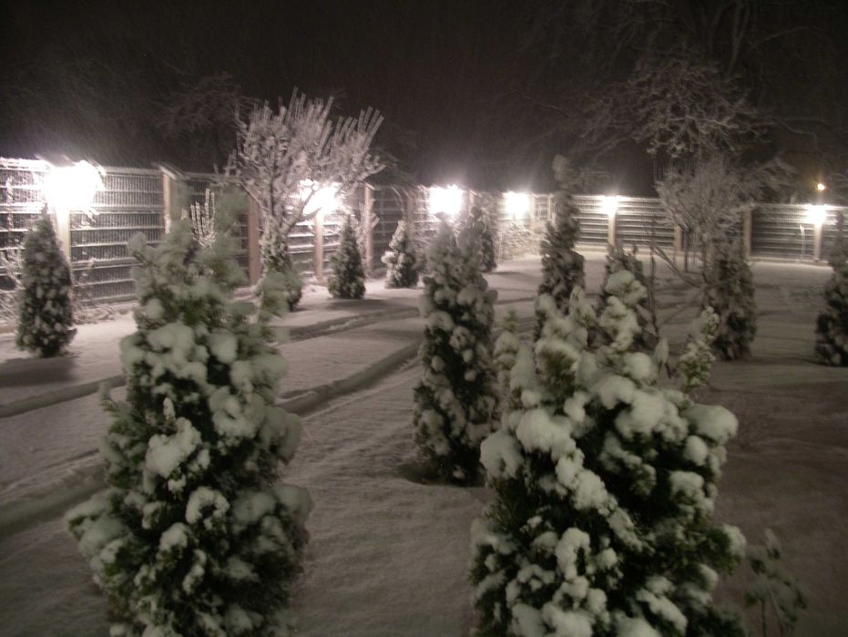 Casa de vanzare în Cornu, Valea Prahovei – teren 1600 mp, intimitate