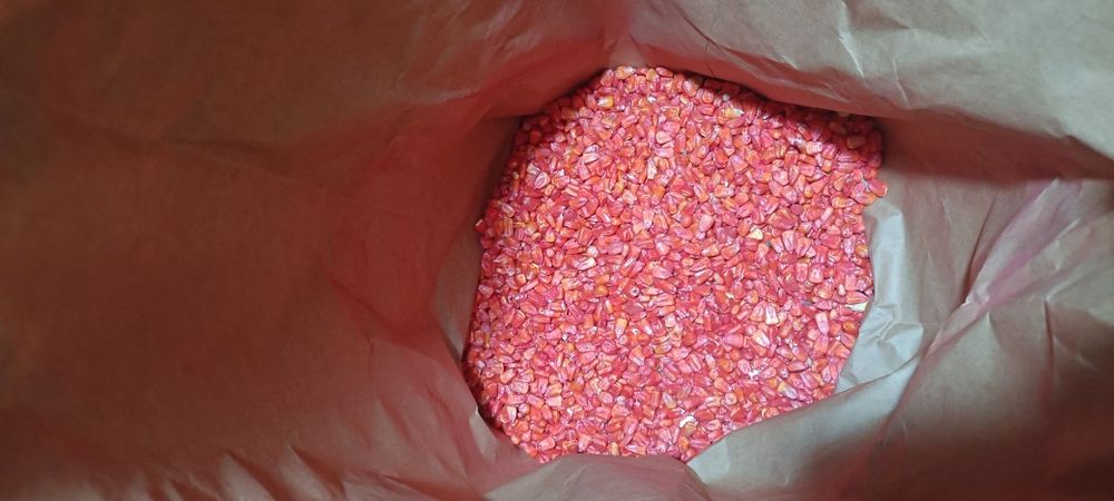 Семена кукурузы Китай, жүгері Қытай