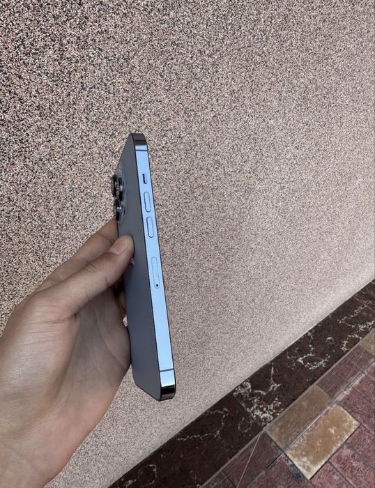 Iphone 13 pro ideal